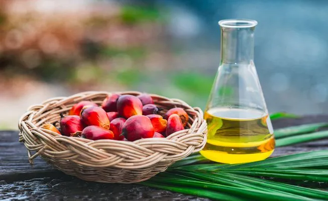 What Are The Uses Of Palm Oil And Derivatives?