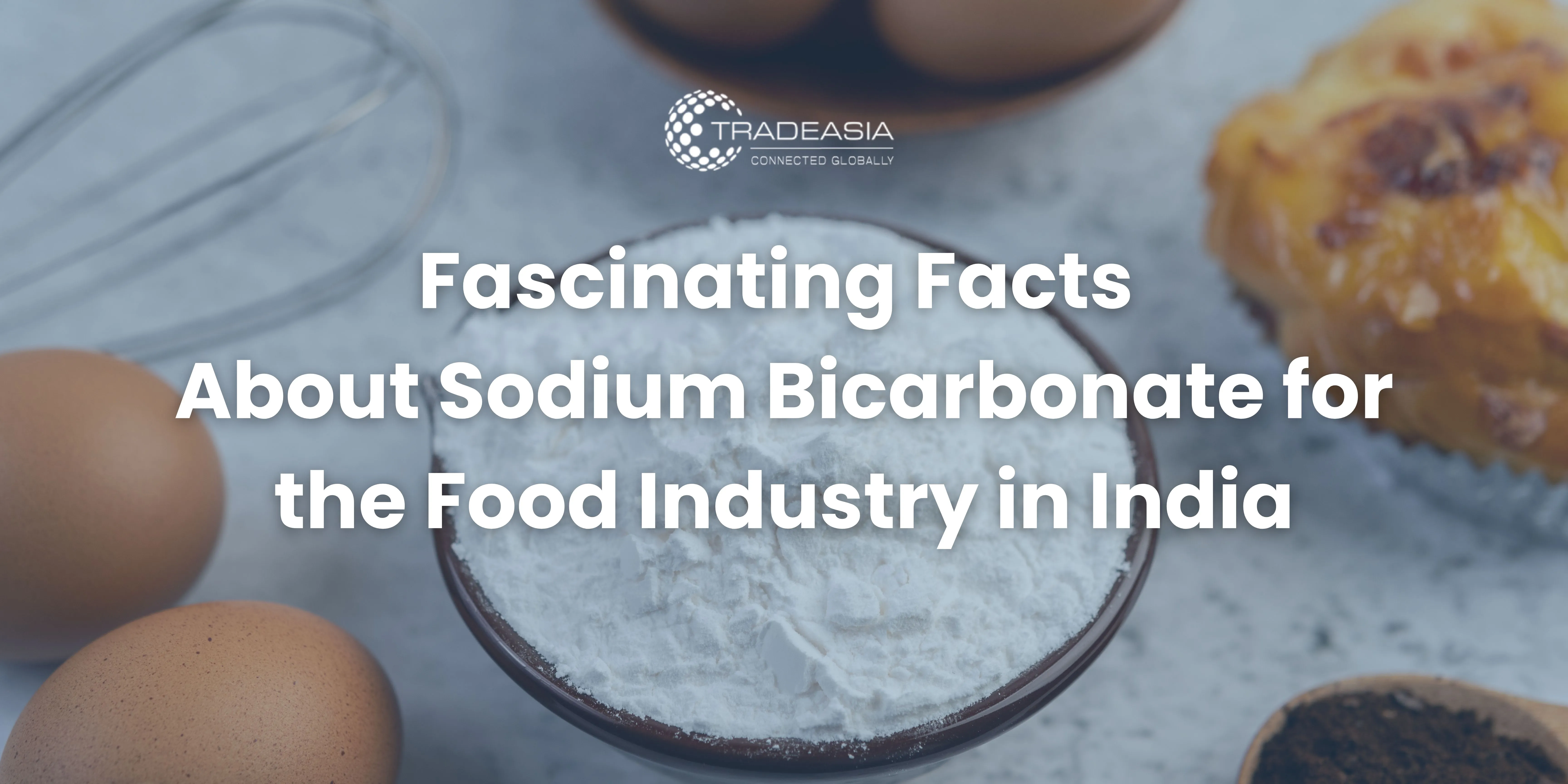 Sodium Bicarbonate for the Food Industry in India