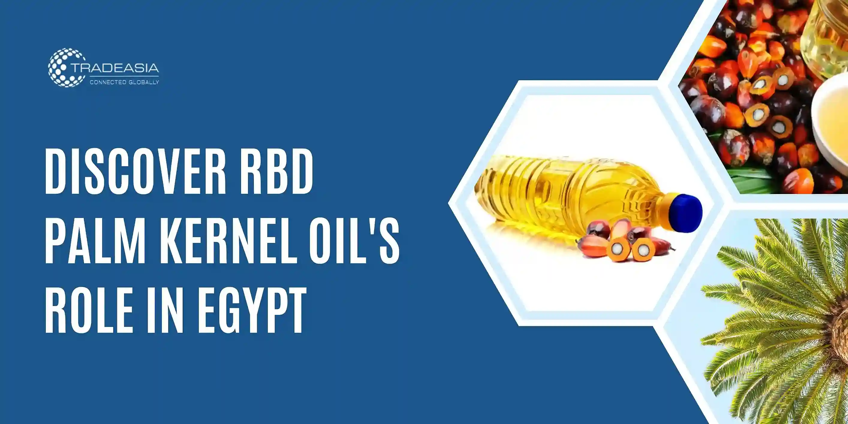 RBD Palm Kernel Oil's Role