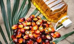 Crude Palm Kernel Olein in Chemtradeasia India